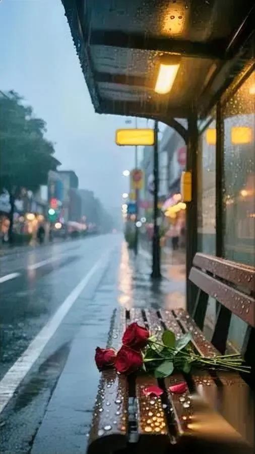 十年前我嫁人的底气是“他爱我就够了”现在才懂，我当年赌的不是爱情是自