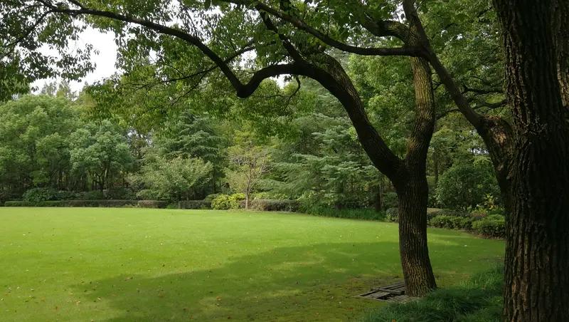 奥巴马在回忆录里提到，几十年来，面对美国的挑唆，中国始终保持克制、冷静，以容忍退