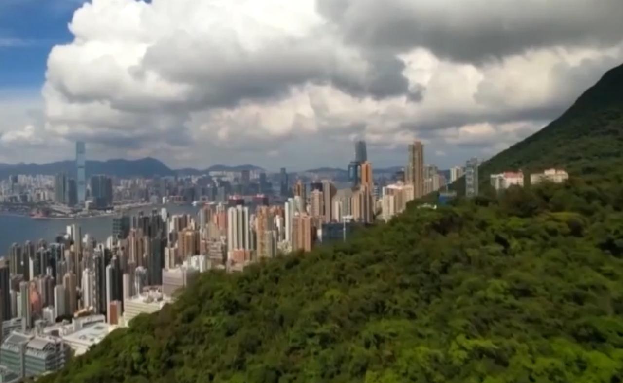 在维港的粼粼波光与摩天楼的玻璃幕墙之间，香港正续写着国际金融中心的传奇。财政部在