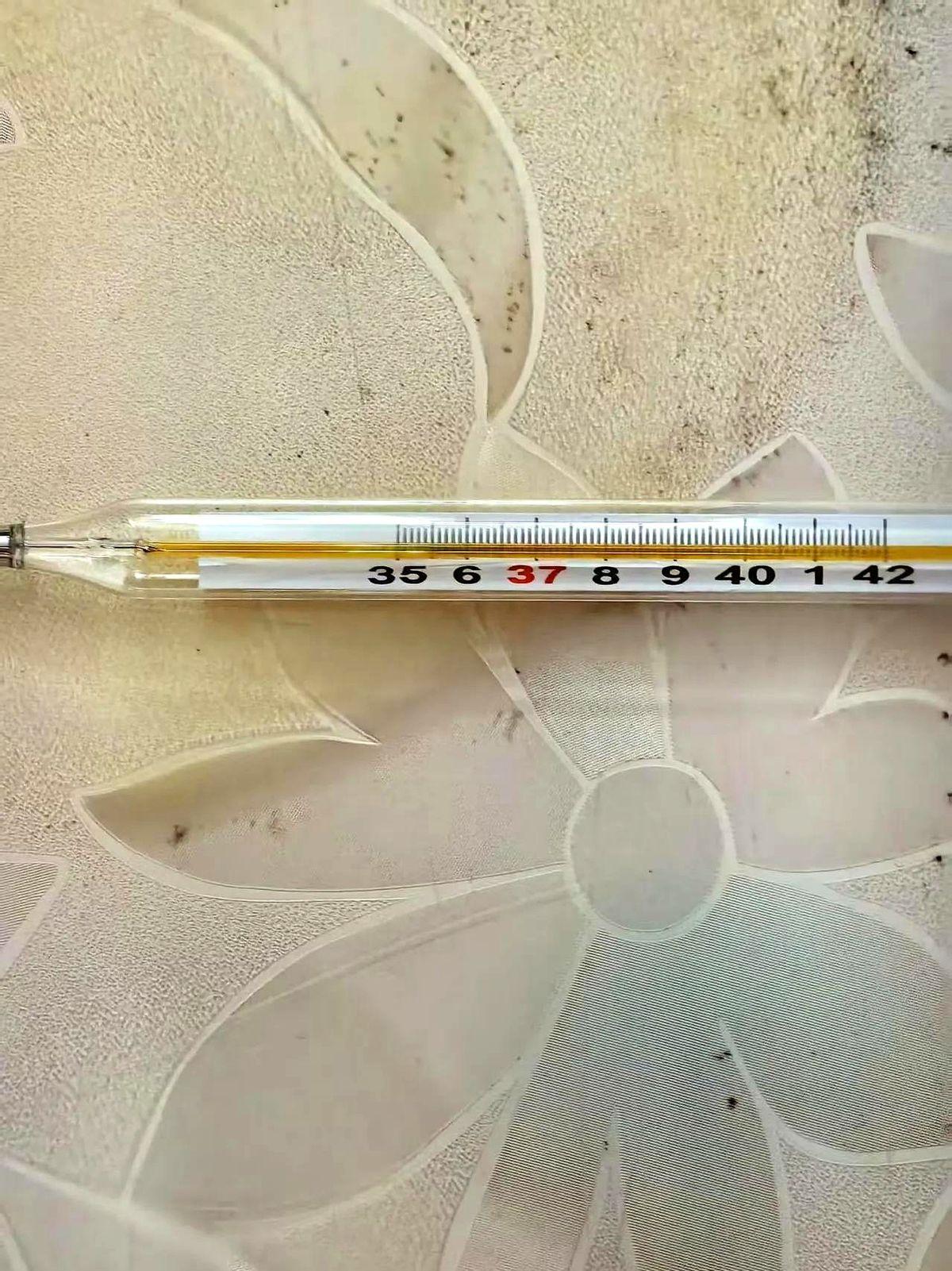 这格力空调制冷也太恐怖了吧，昨天晚上我把空调调到26.5度，还专门盖了一条薄毛毯