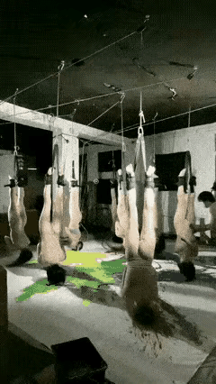 这是在画画吗？
