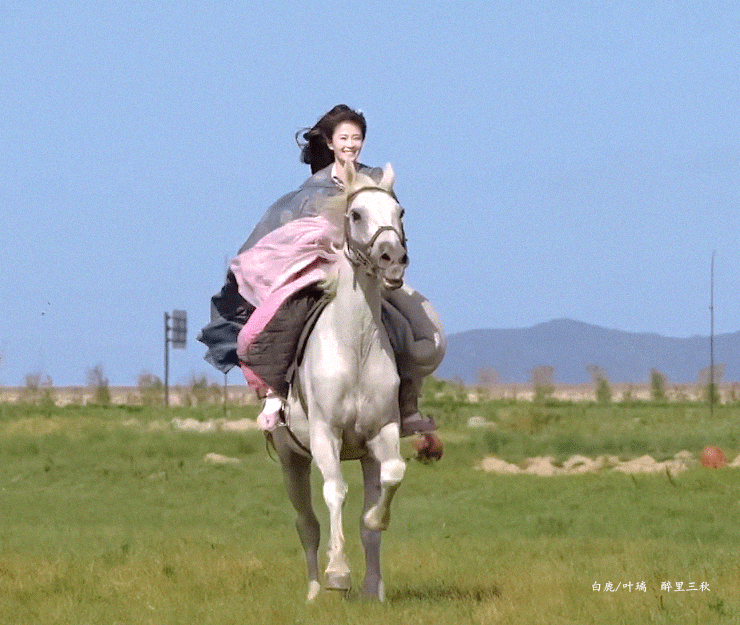 你好你好你好👋🏻叶大厨小炒🍐欢迎你来预约白鹿厨师领巾