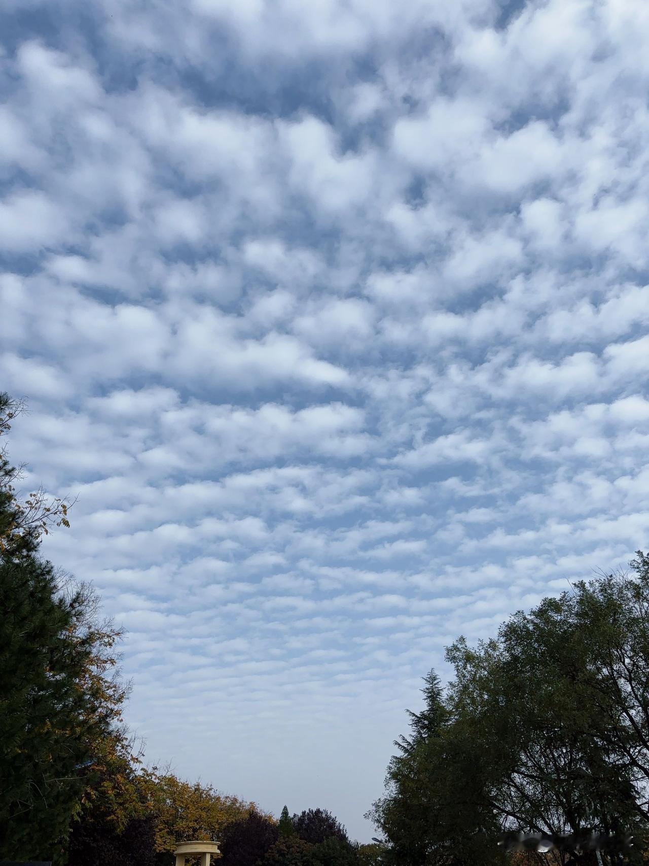 她被养父母疼爱。可老人一走，哥嫂就把她“嫁”给了邻村的老光棍。理由是“为她找个依