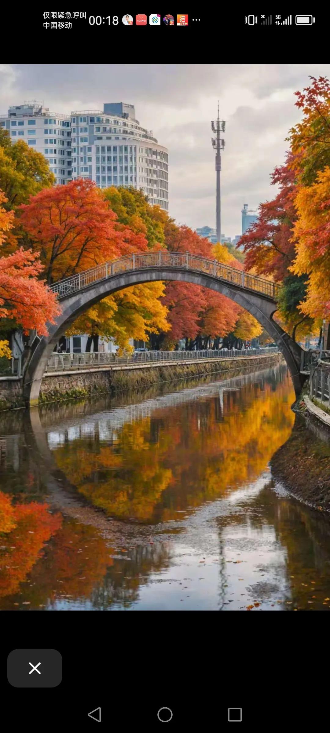 昆明大观河上的这座桥，真的是跟这两边的红叶搭配是一幅天然的画。这座桥比我的年龄