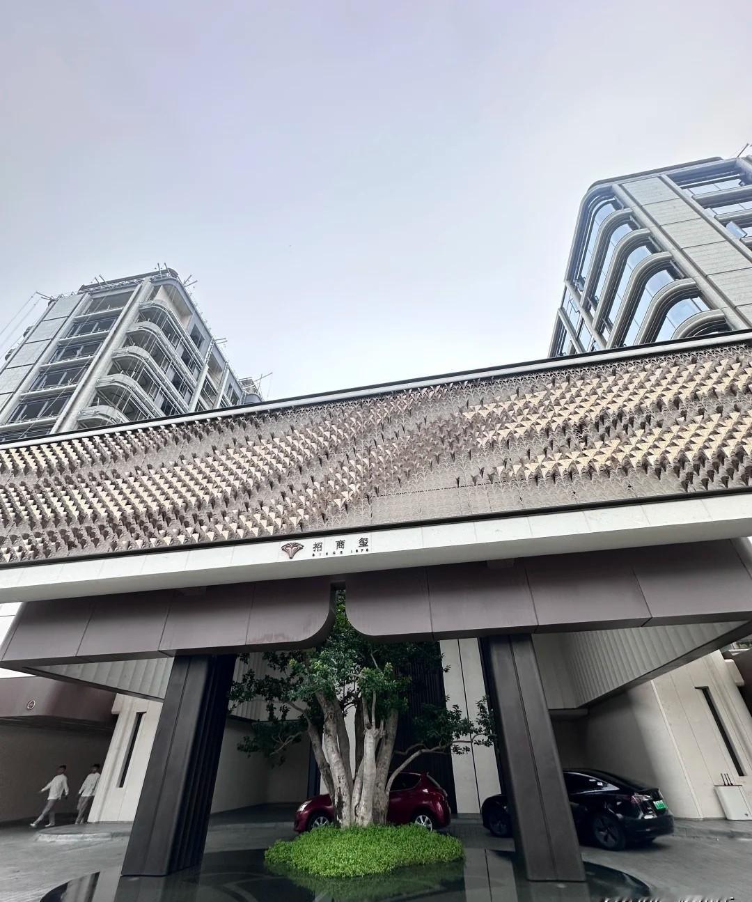 三万块一平，买个楼，送你一个空中花园——不是阳台，是能种树的真·户外空间。合肥