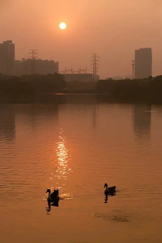 人生之悟1.人最贵的财富就是：健康2.人最美的气质就是：从容3.人最真的底