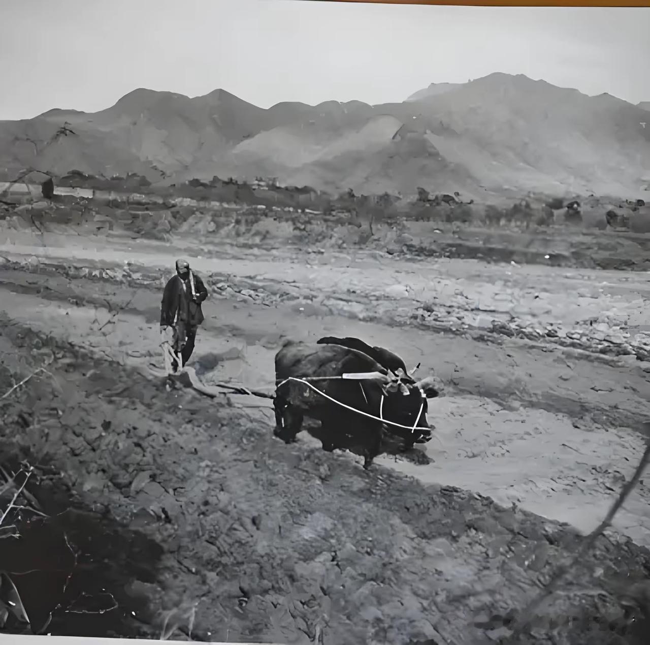 1957年秋天，河南安阳小屯村的李老汉在地里刨出一个三百来斤的铜疙瘩，浑身绿锈，