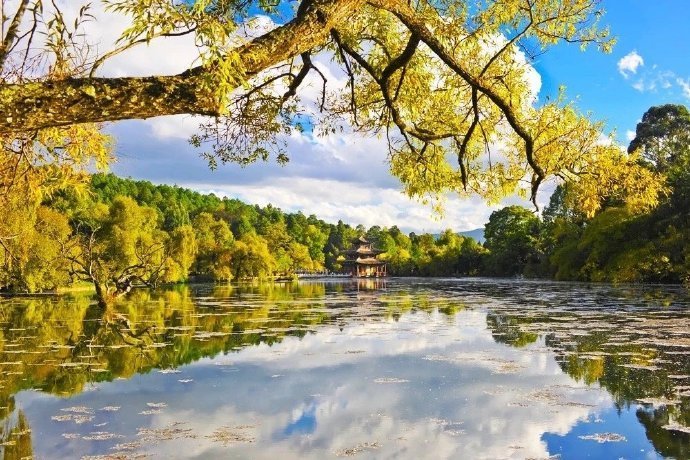 丽江·黑龙潭，从丽江古城寻水源而上，人间仙境似的园林，就在不远处。