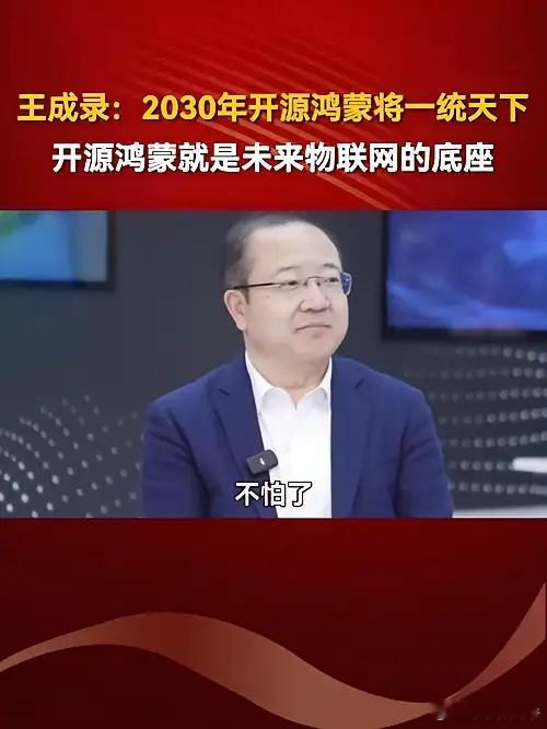 王成录：2030年开源鸿蒙将一统天下！​​​