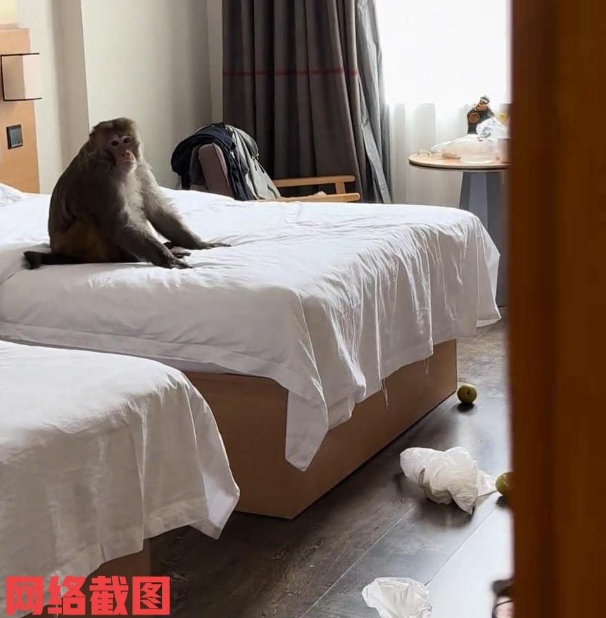 西藏有男子在此游玩后回酒店。此刻男子推开酒店的房门时，看到房间里一片凌乱，刚