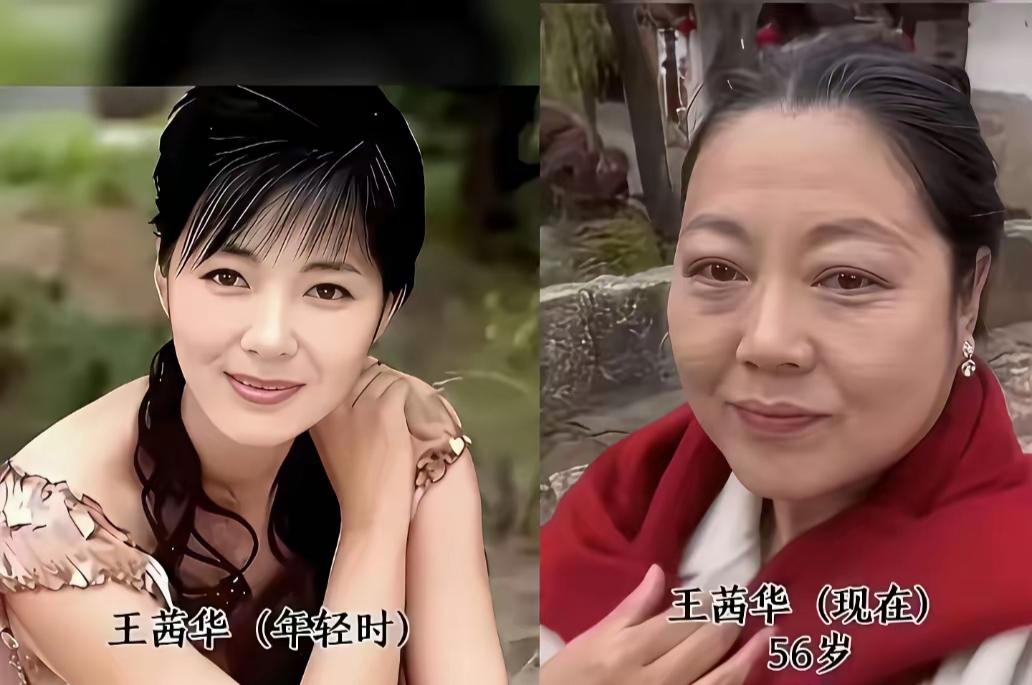 真正的美人惊艳时光、温柔岁月，这九位女星年轻时风华绝代，年长之后从容淡然，就说王