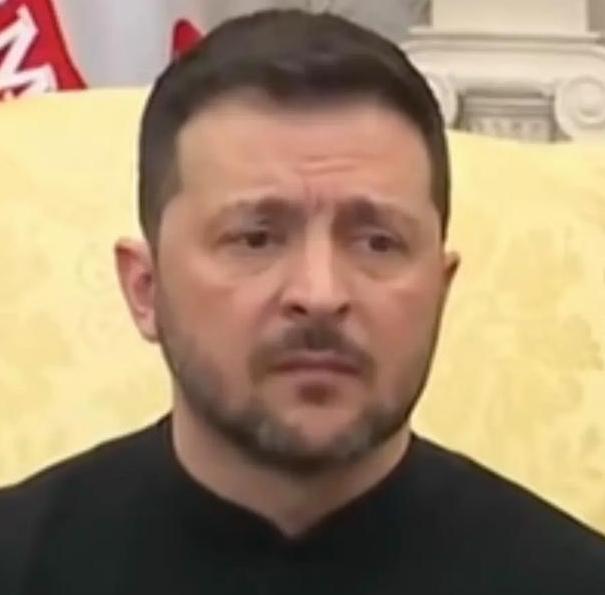 狗咬吕洞宾，不识好人心！ 泽连斯基这波操作真是把“短视”俩字刻进了骨子里，当