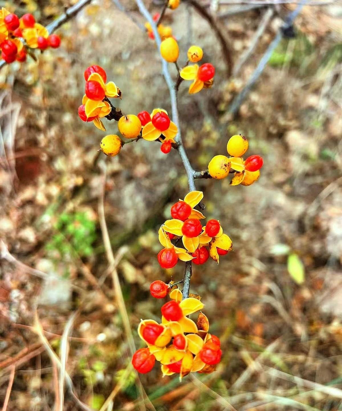 一个农村娃在城里站稳脚跟，结婚起就年年春节把老妈接来省城做全套体检，肿瘤标志物、