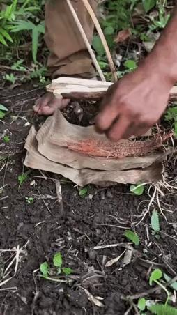 以后参加什么荒野求生活动，不要只知道钻木取火了，还有很多方式更有效，快来学习学习