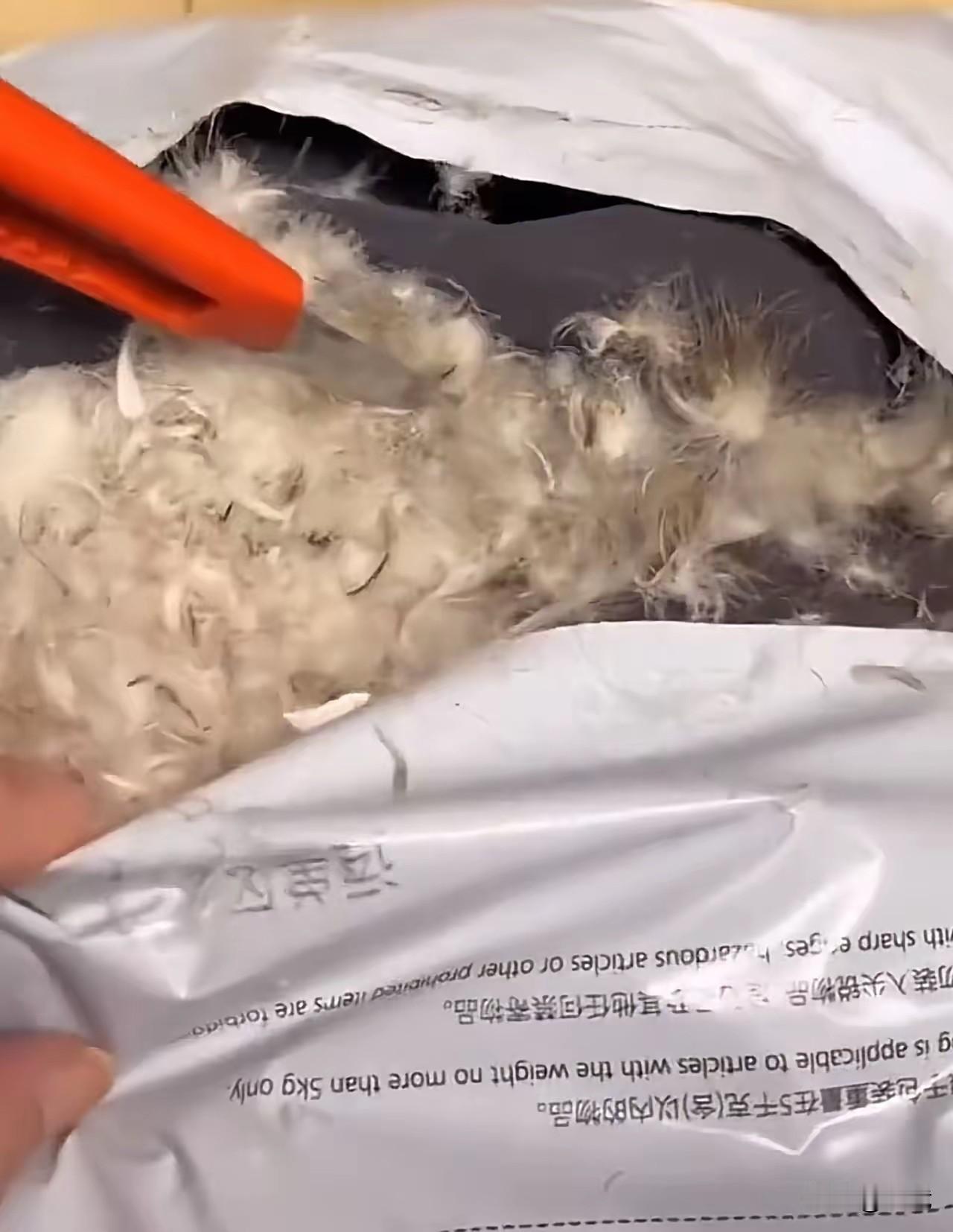 “妈妈，快递到了！”儿子兴奋地喊着，儿子迫不及待地拿起刀片，用力划向包装袋。那一