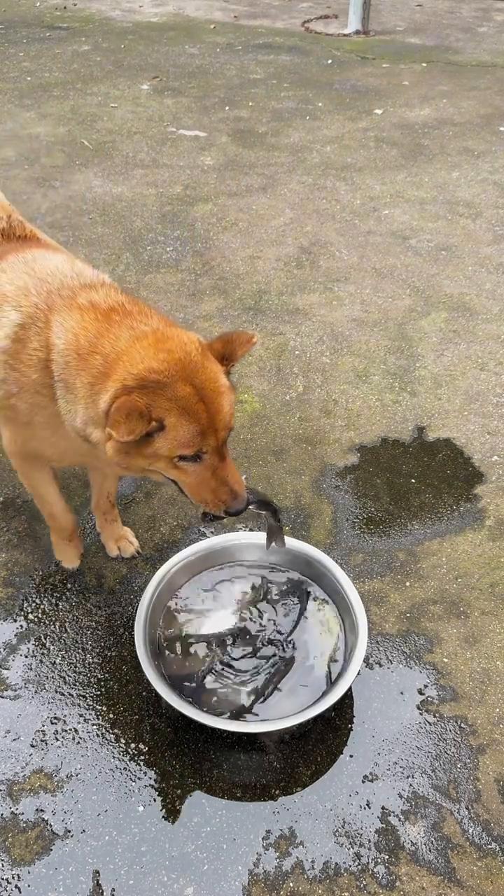 啊哈。