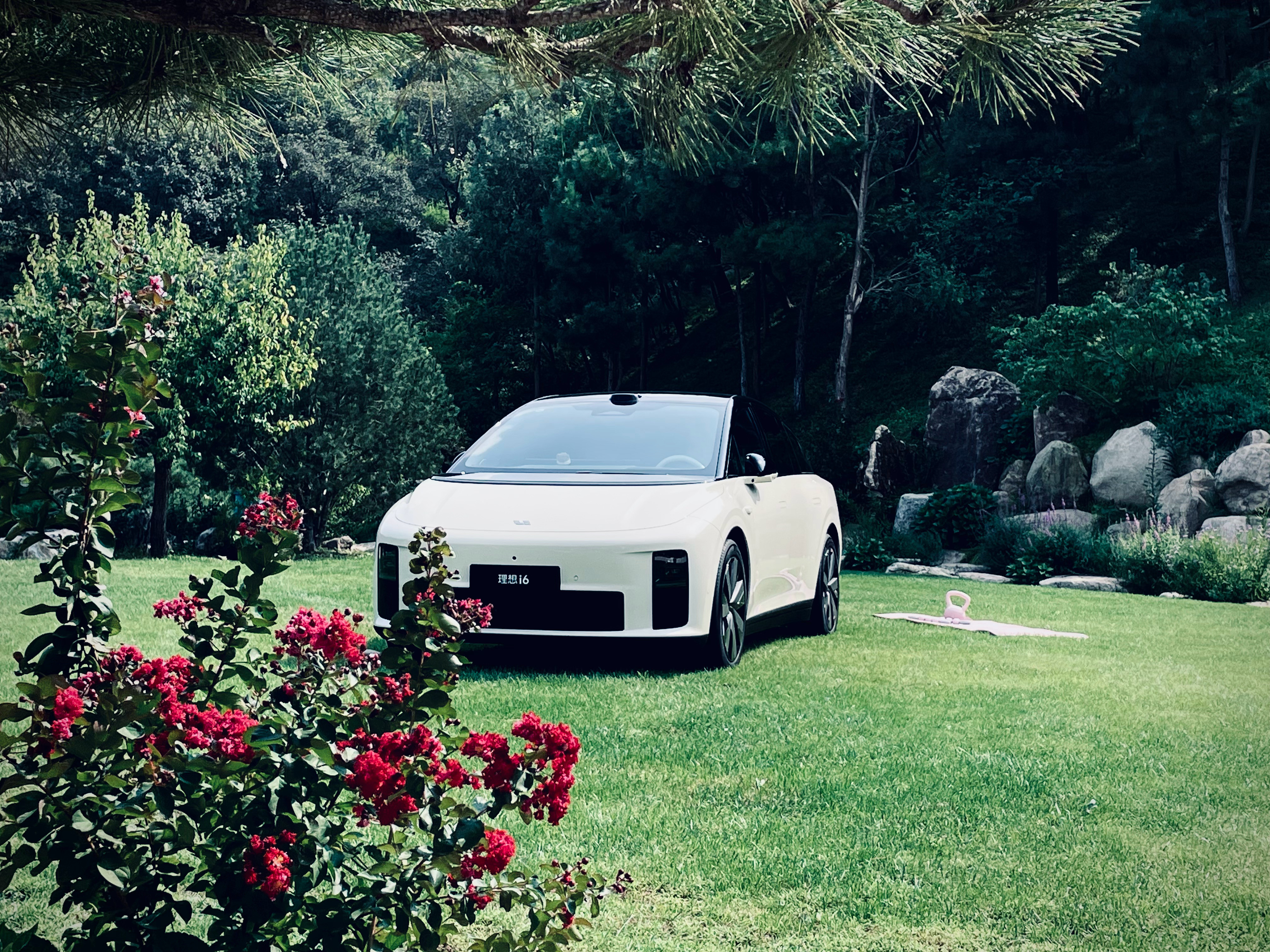 分享一点理想i6之前拍的照片，就是手机随便拍的，颜值很抗打。另外，今天是理想i6