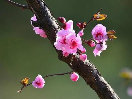 周一上午，一则重磅利好消息突如其来，这一板块有望乘风而起，站上风口！周一午间收