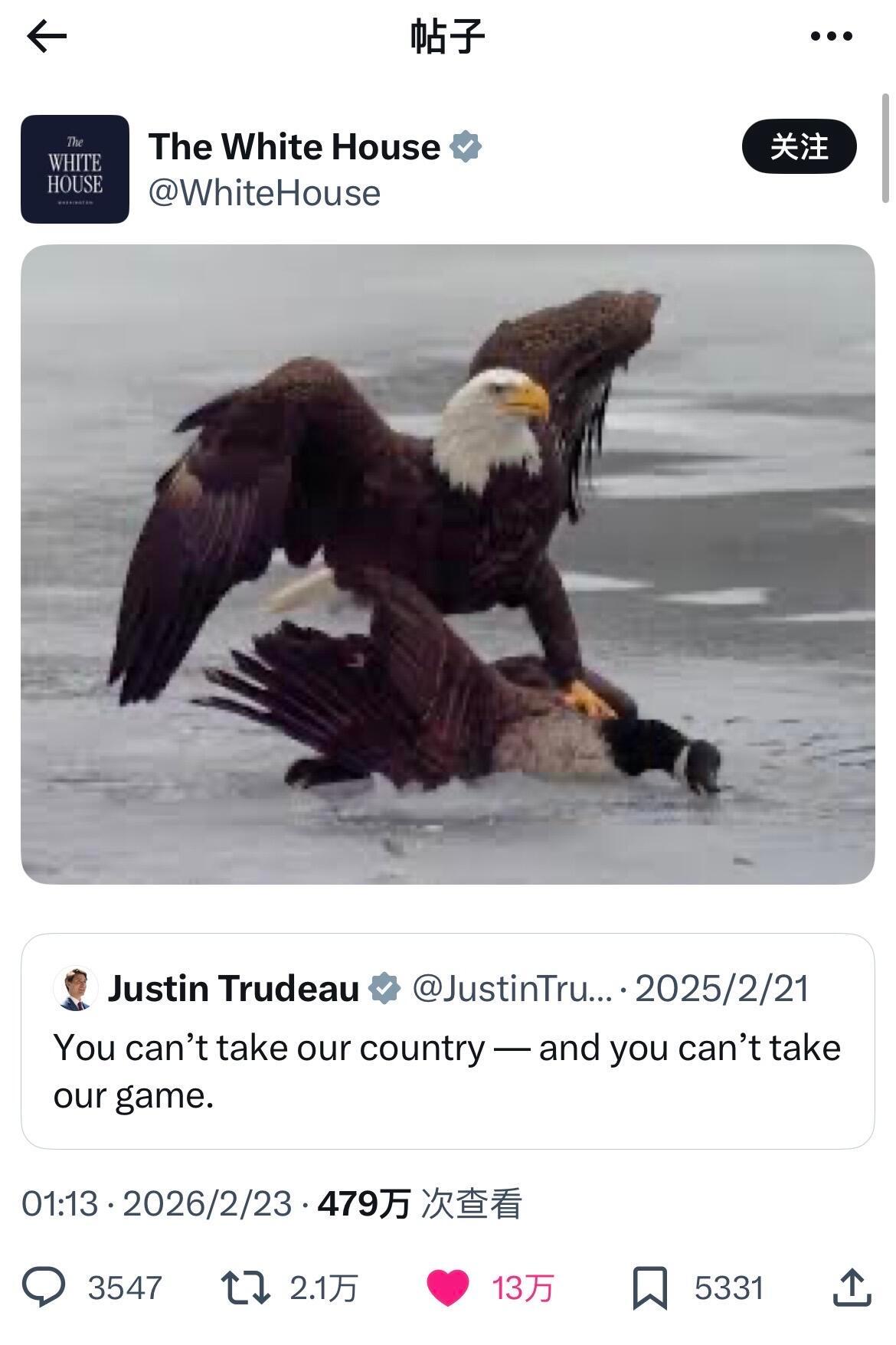 沙雕和铁锅炖打起来了，下一个被按的会是谁？