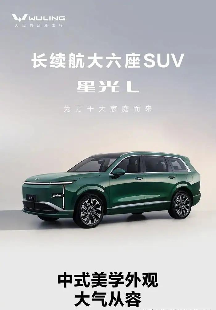 行家预测，未来中国汽车存活率：​1、红旗汽车，100％存活2、比亚迪i汽车1