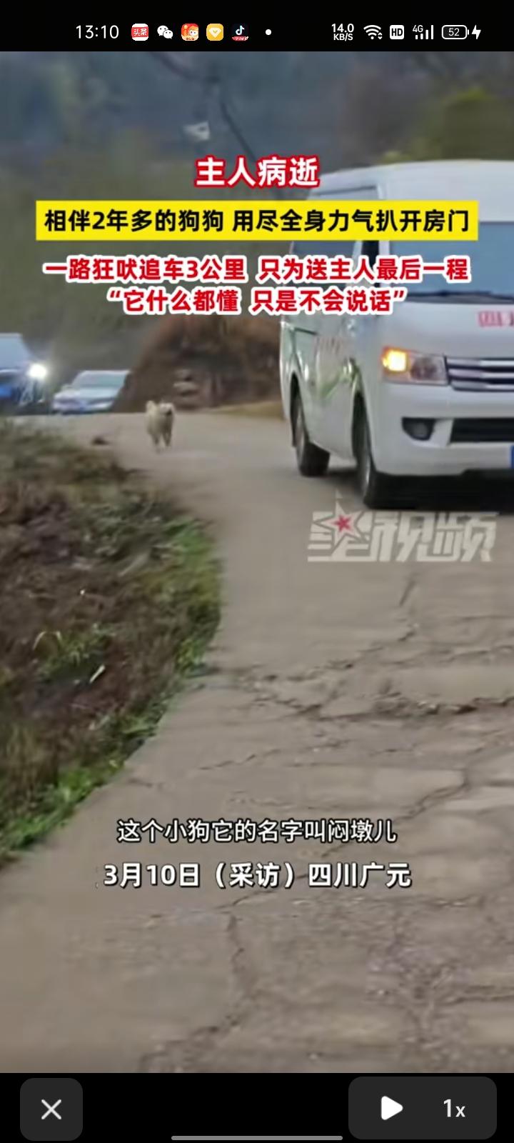 3月9日，四川广元。网友晒视频称，狗主人病逝后，殡仪馆接老人去火化，陪主人两年多