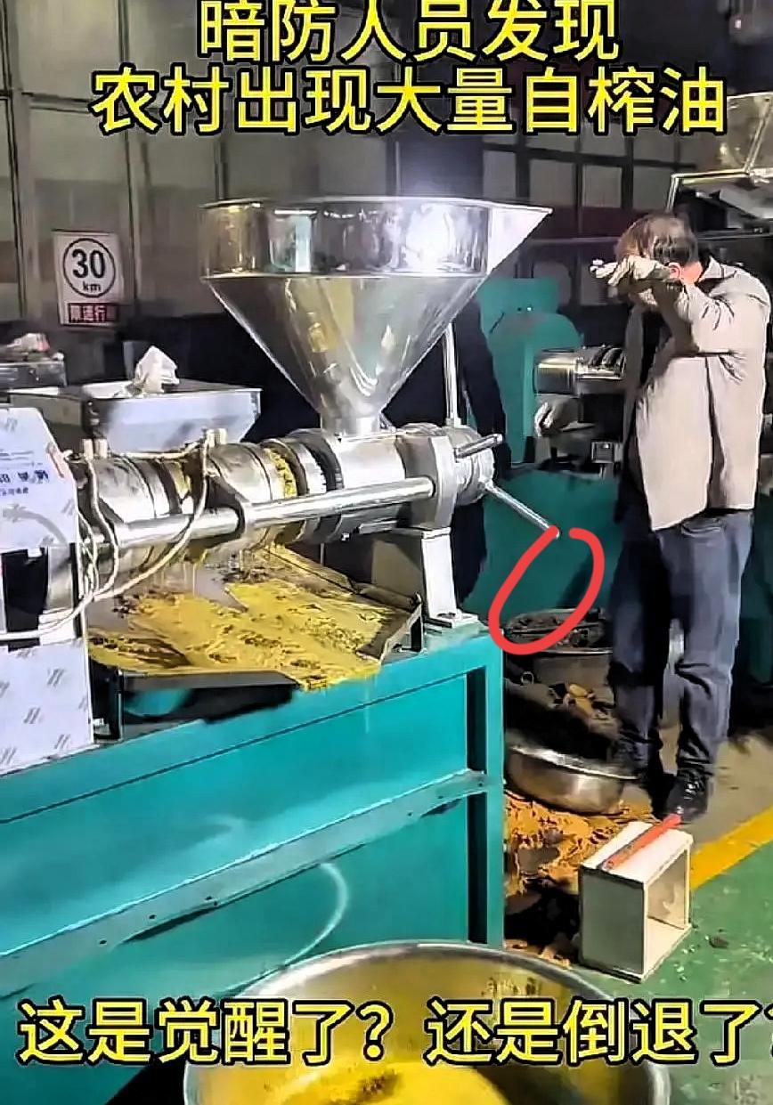 农村自榨油被暗访？别瞎猜了，这才是最实在的安全感！村口来的人盯着榨油坊问东