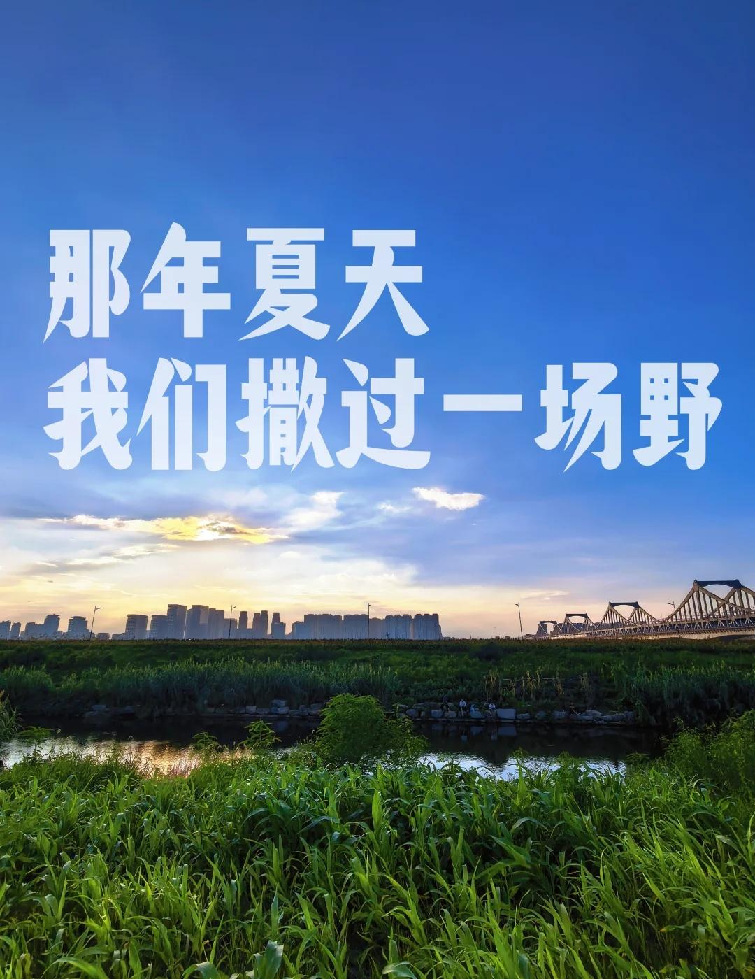 跑步是快不了一点儿了，慢摇才是正经事玉米地里的玉米快熟了，跑步路过时，容易让人