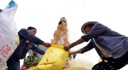 为什么中国粮食价格这么低？说白了这就是国家在给老百姓“保命”，如果粮食价像国际市