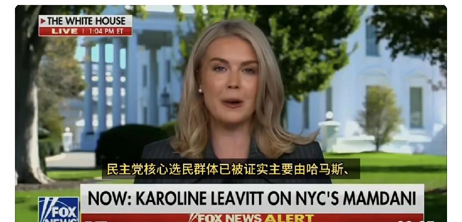 特朗普亲选的白宫发言人什么水平，简直是信口雌黄！莱维特:民主党的主要选民基础由哈