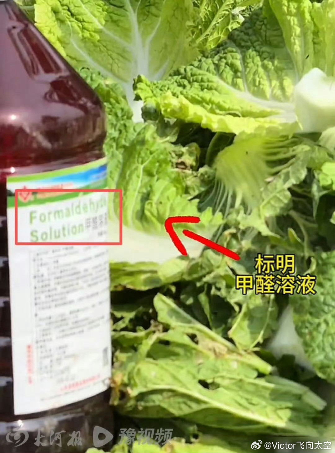 白菜蘸甲醛就很离谱