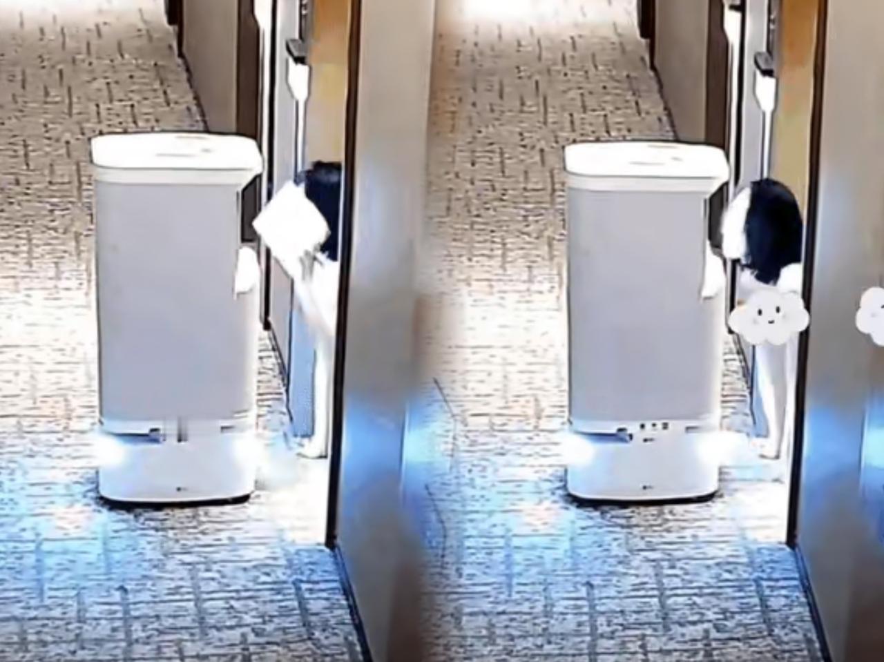 “五星级酒店监控拍下离谱一幕：机器人送餐，美女竟用嘴叼回？”画面里女孩先是爬出取