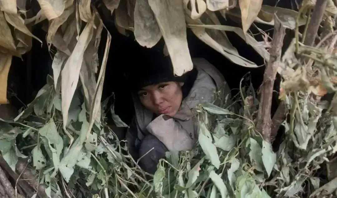 荒野唯一女选手通关体检!获6666元奖励,景区提前抛橄榄枝张家界七星山的荒