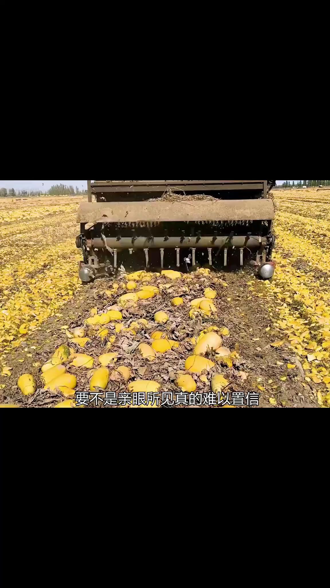 张予曦毕雯珺躺拍太权威了 深情眼 张予曦 毕雯珺 虞书欣