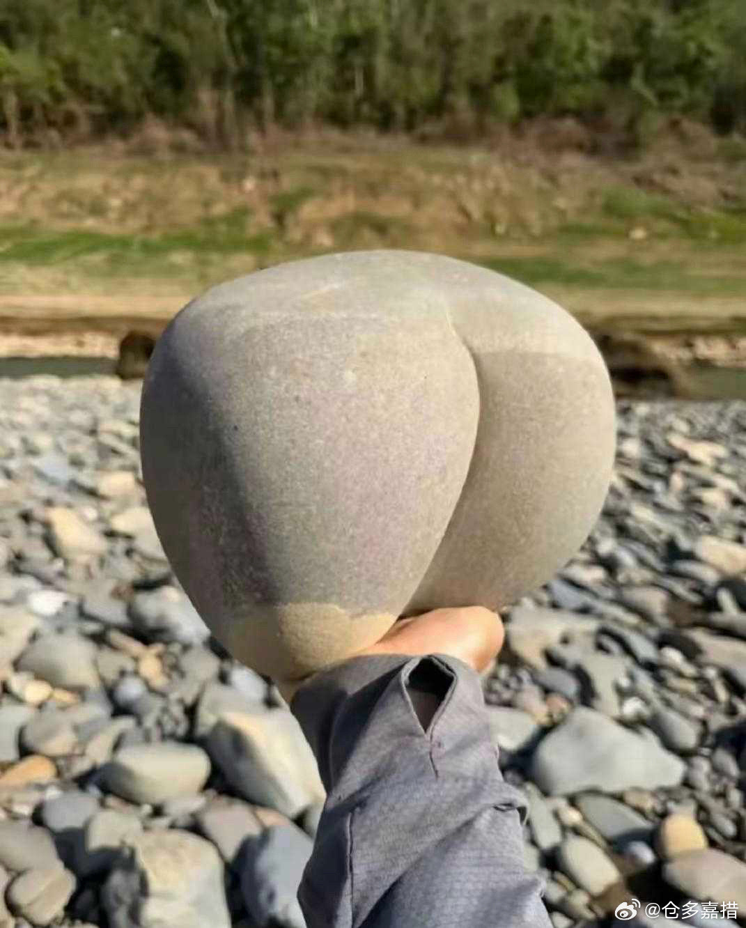 就是有点硬😄​​​
