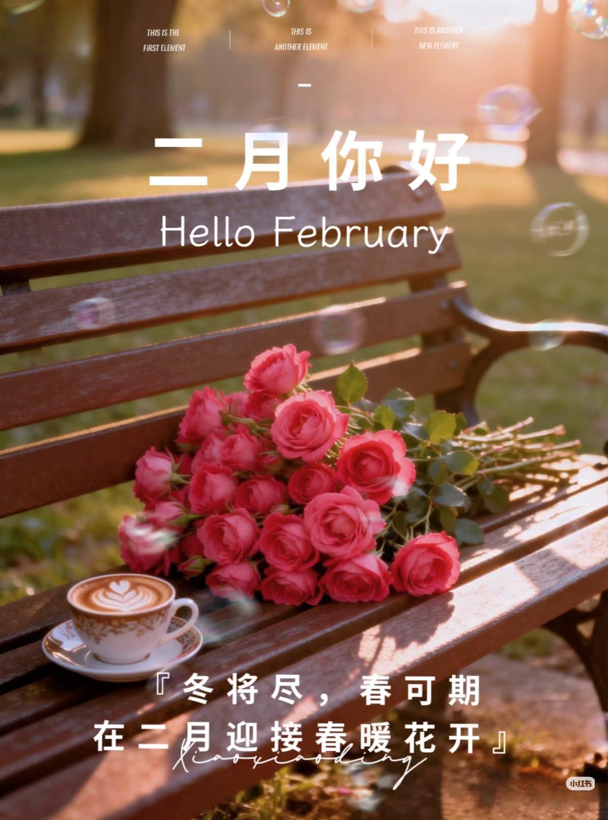 一月再见，二月你好！冬将过去，春将到来，又将是一年轮回，让我们珍惜每一天，好好挣