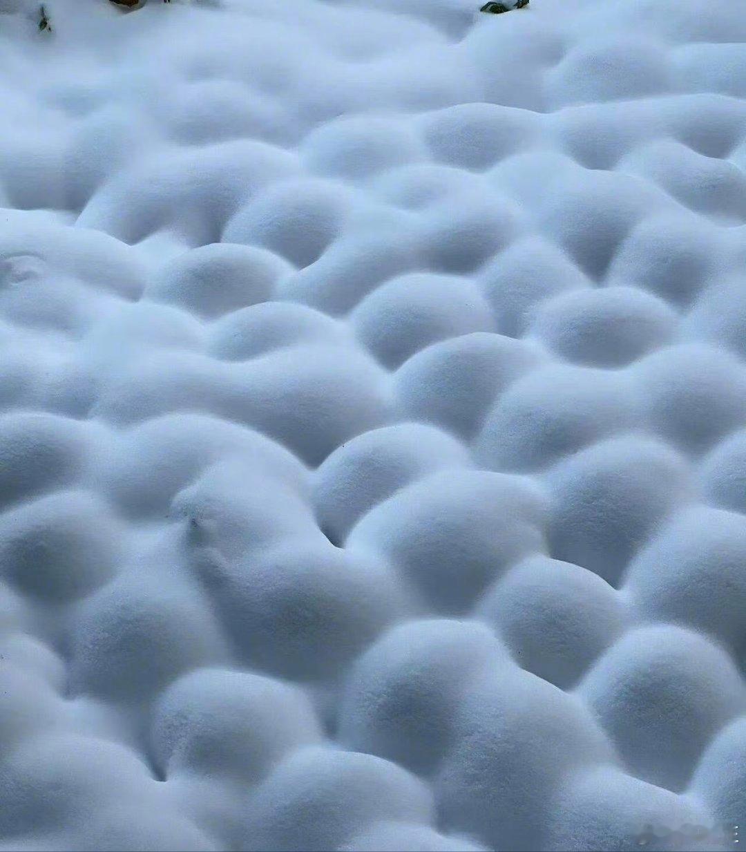 这个雪地越看越像霉豆腐。