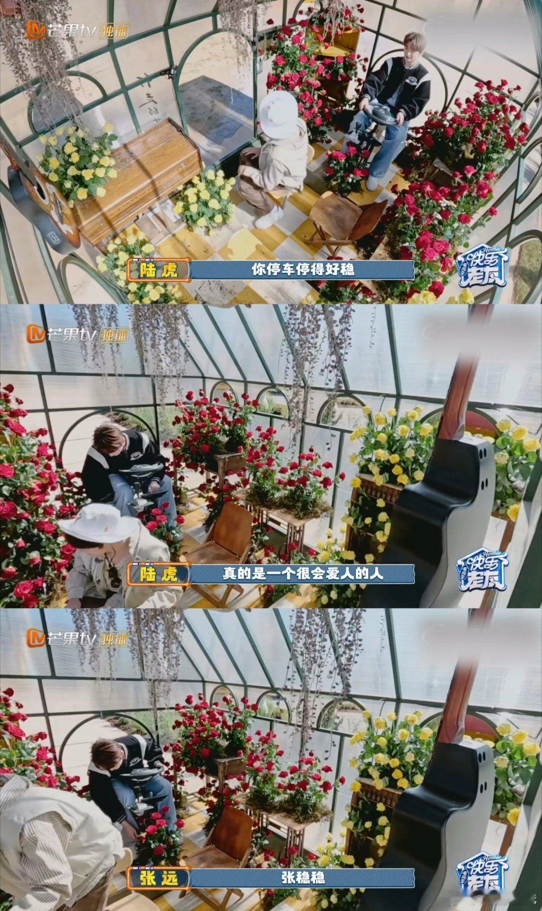 陆虎张远是一个很会爱人的人陆虎和张远两个人的互动好好玩哈哈哈哈