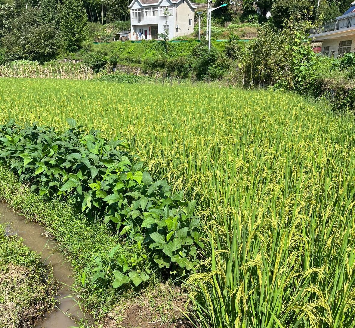 【琅河财经】网友问：“户口有什么用？”这个东西你要用不上，你就不知道它有什么用