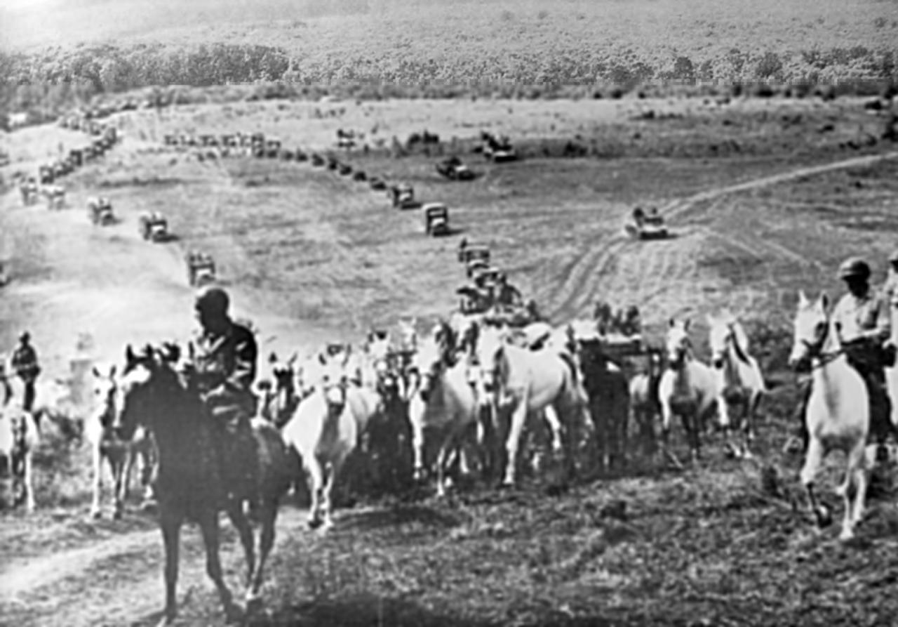 1945年4月，二战即将结束之际，奥地利历史悠久的西班牙骑术学校珍稀的利比扎马，