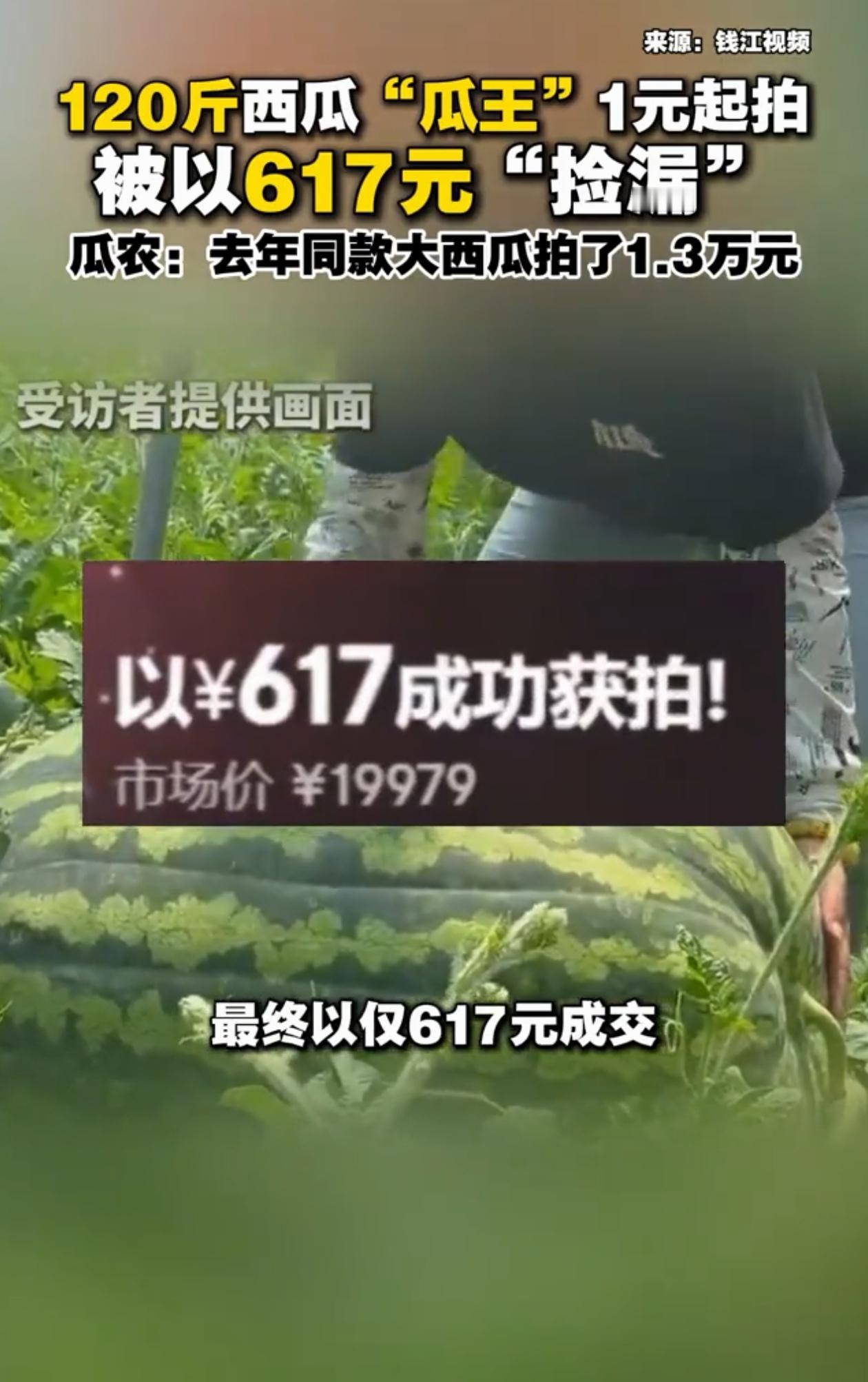 亏大了！北京，瓜农种出120多斤的西瓜，拿出去拍卖，本以为能卖1万多，没想到半天