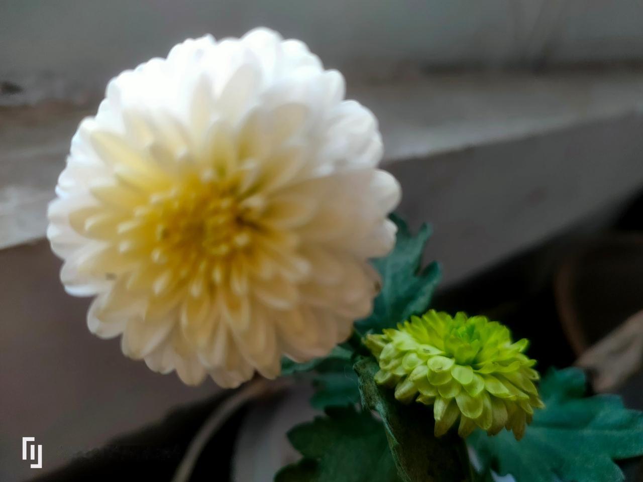 真的别再晒幸福了！过度嗮会“干”我有个朋友，师范毕业后通过校招入职，如今在一所