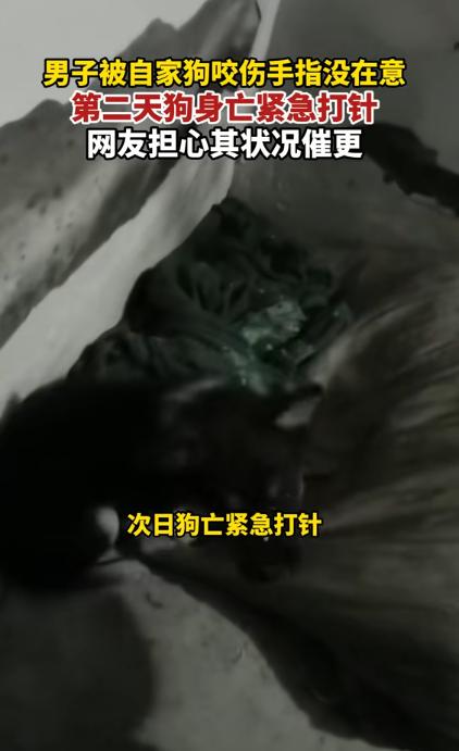 后怕！河南，男子养了一条狗，下班回家后看狗的状态不太好，就想上前摸一下，结果却被