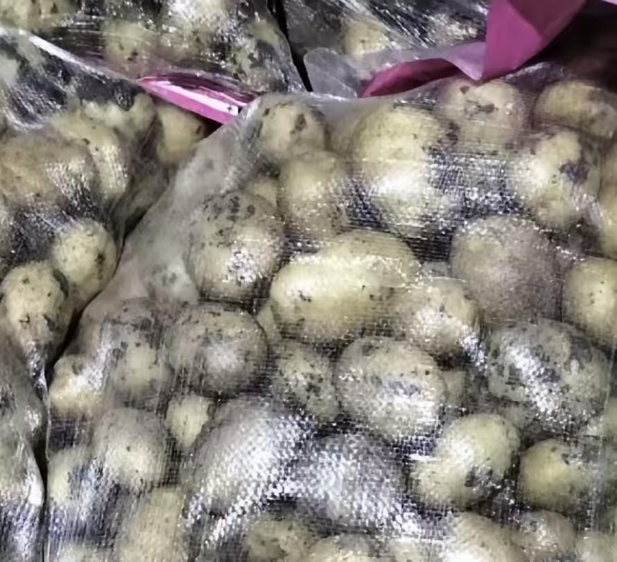 土豆身份争议，收费站犯错，司机遭遇，大家来想。二月八日夜，陕西收费站，杨师傅拉