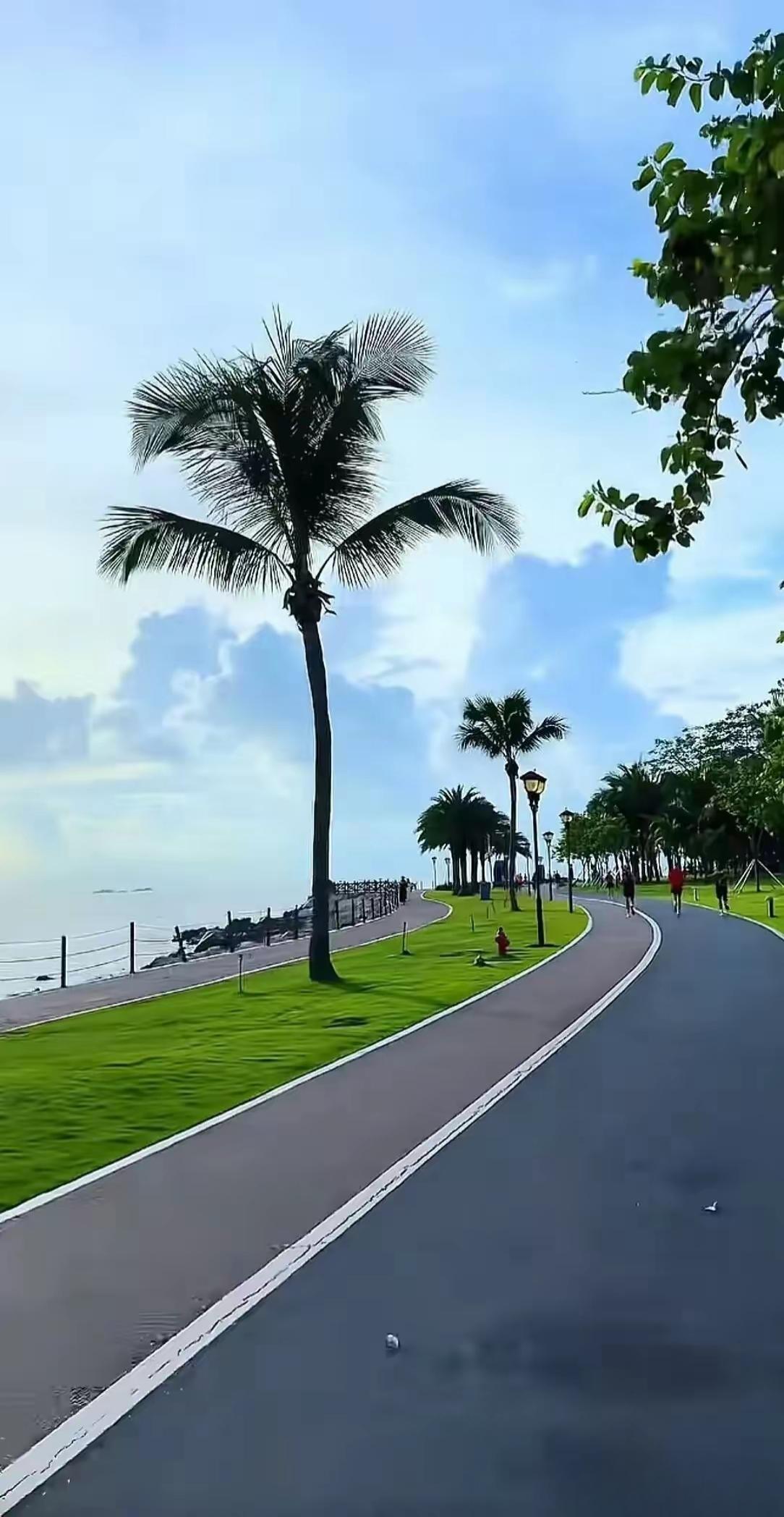 碧海潮生处，椰风拂面来。