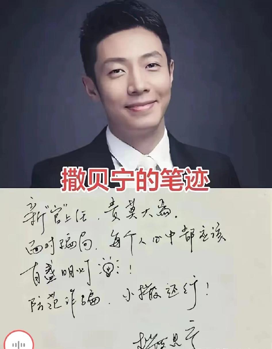 撒贝宁的字，真的和他的人一样，又灵又有风骨，太配了✨作为北大高材生，他的字