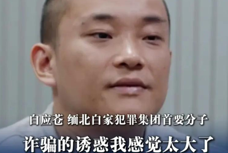 最近，央视播放了剿灭缅北诈骗四大家族的纪录片。很多网友不解：为什么有那么多人冒着被枪决的风险搞诈骗？