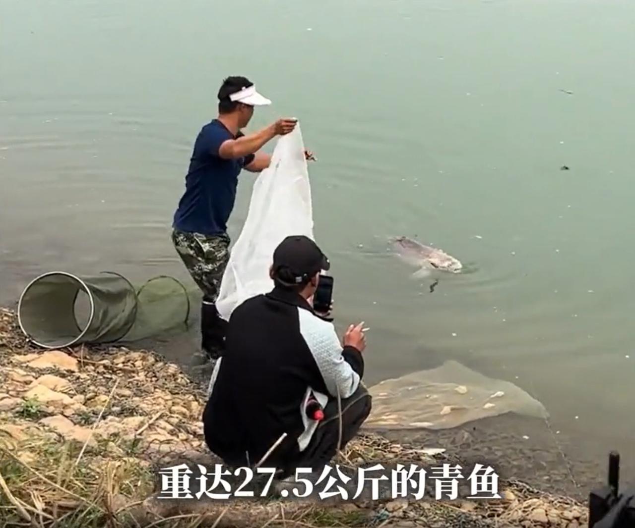 这是赚了还是亏了？广西南宁，一男子在江边钓鱼，鱼一咬钩，他就知道上了“大货”，最