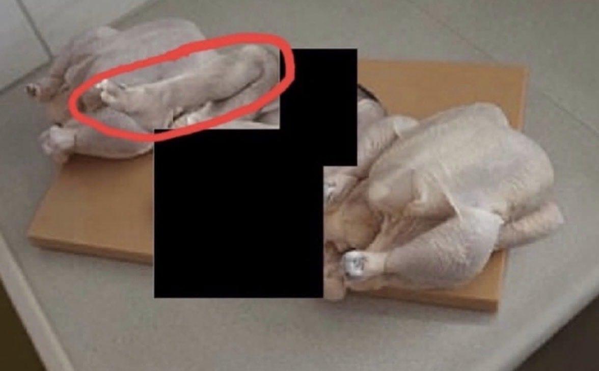 爱泼斯坦最新“鸡腿人”照片曝光：引发“美国富豪吃人”讨论，真假众说纷纭！这两天美