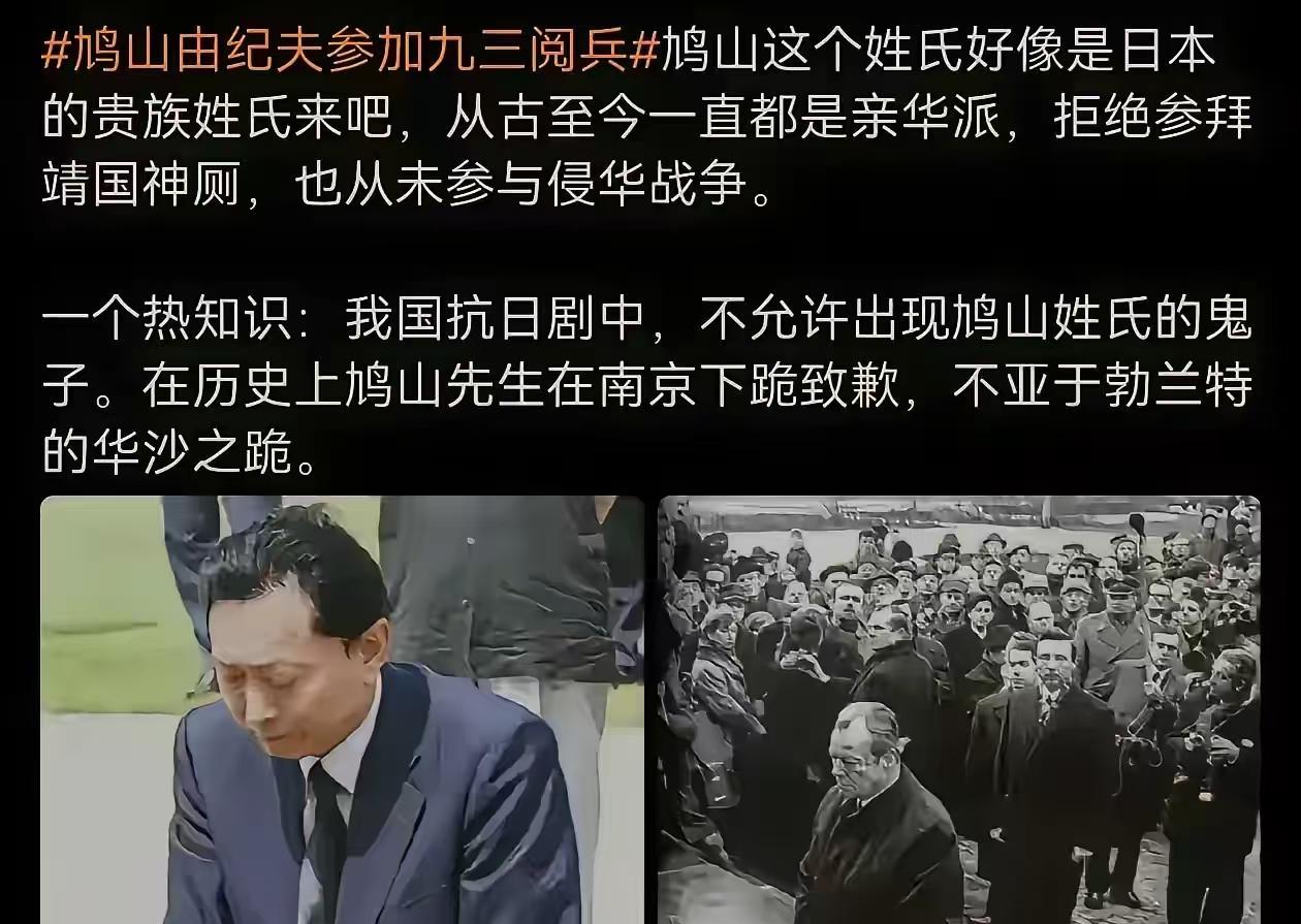 今天看阅兵，发现鸠山由纪夫来了，后来一查发现，各种抗日战争的片子中，没有姓“鸠