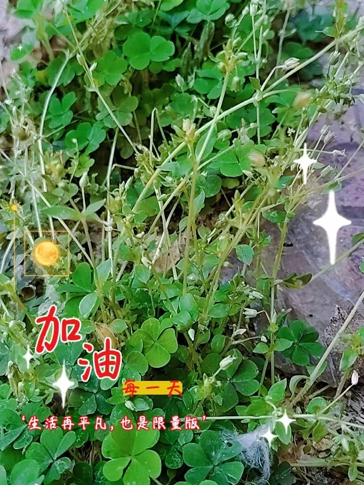 问：蚊虫叮咬后，怎么快速止痒？①被蚊子咬了别乱抓，越抓越肿越痒。赶紧找